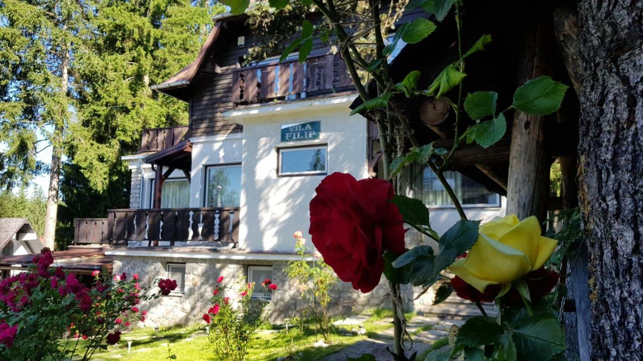 Vila Filip Предеал Екстериор снимка